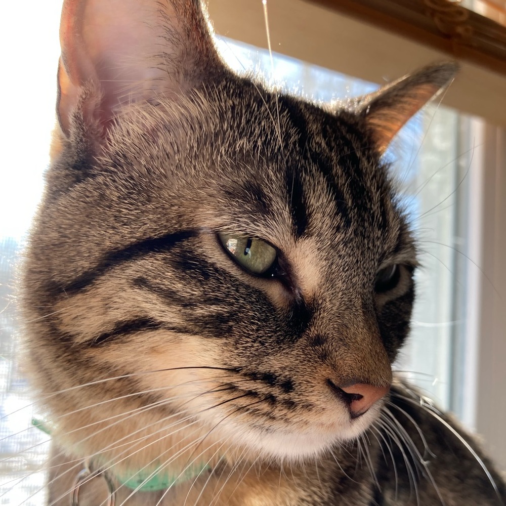 Meet your Posher, Heidi